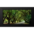 thumbnail image 2 of McLoughlin, James 18x11 Black Modern Framed Museum Art Print Titled - Canopy Road Panorama II, 2 of 5