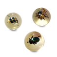 thumbnail image 4 of Safari Ltd. Geoworld Billes Anti-Insectes - Ensemble de 8 Billes de 1 Pouce avec Spécimens d'Insectes Réels, 4 of 4
