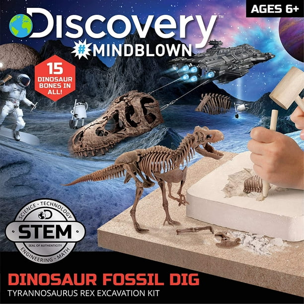 Excavation Kit: Dinosaur Skull - Kids Love Rocks