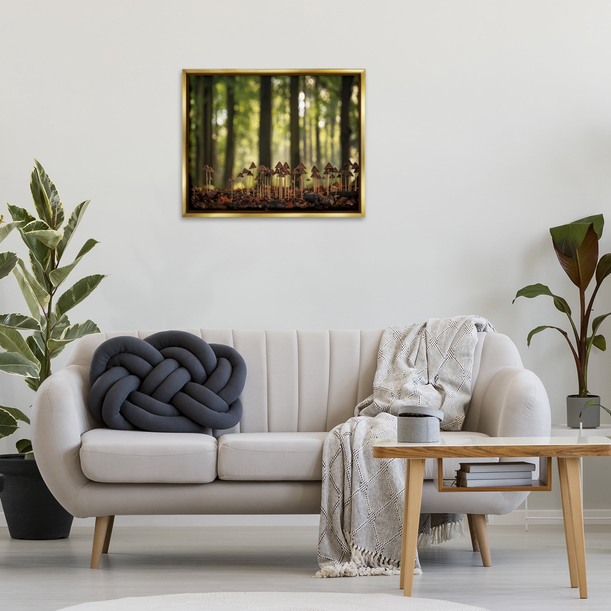 Stupell Industries Mushroom Sprouts in Forest Botanical & Floral Photography Gold Floater Framed Art Print Wall Art, 31 x 25