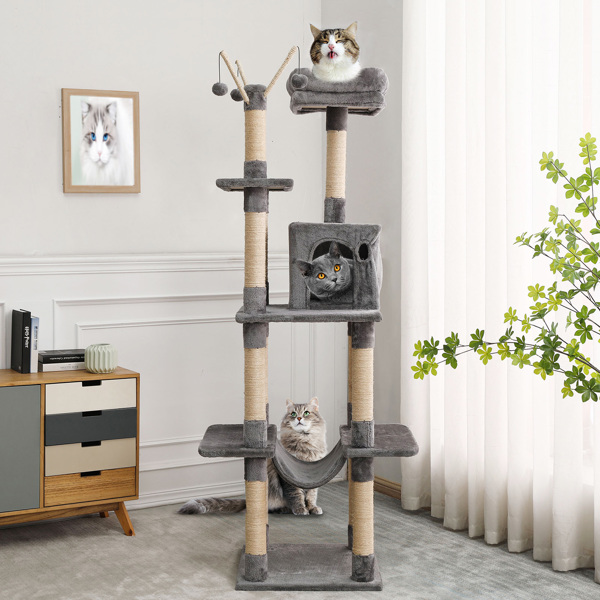 cat play climbing frame
