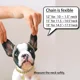 thumbnail image 3 of Collar De Perro Dorado Cachorro Circón Cadena De Eslabones C, 3 of 5