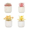 thumbnail image 1 of Plantas artificiales suculentas, las plantas artificiales se utilizan para la decoración de la oficina en el hogar., 1 of 5