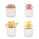thumbnail image 1 of Plantas artificiales suculentas, las plantas artificiales se utilizan para la decoración de la oficina en el hogar., 1 of 5