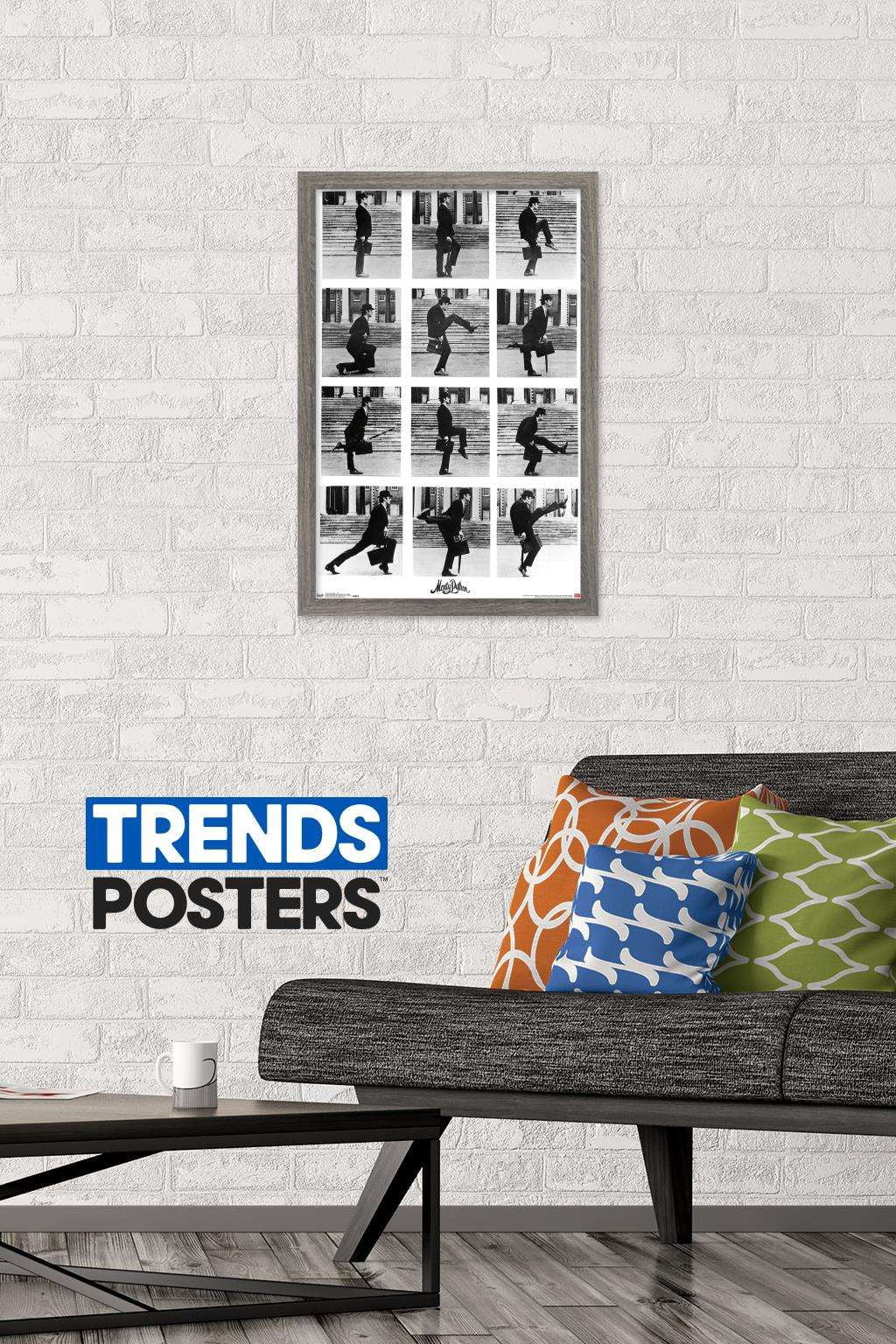 Monty Python - Grid Wall Poster, 14.725" x 22.375", Framed