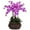 Orchid, variant on Nearly Natural Large Phalaenopsis Silk Flower Arrangement, Dark Pink