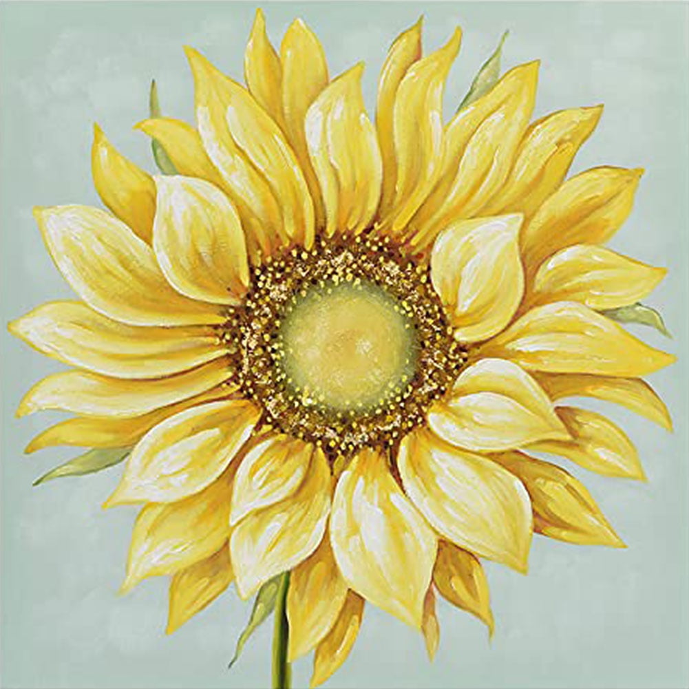 Kit De Pintura De Flores Por Números Para Adultos Y Niños De 6 A 12 Años