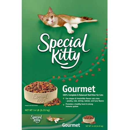 Special Kitty Cat Food Review Special Kitty Cat Food Review