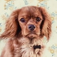 thumbnail image 2 of Josefina 26x26 Black Ornate Wood Framed with Double Matting Museum Art Print Titled - Florals and Spaniels, 2 of 4