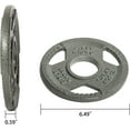 thumbnail image 2 of FlexWave Tri-Grip Cast Iron Plate Weight Plate for Strength Training, Weightlifting and Crossfit, 2-Inch, 2.5lbs Pair, 2 of 4