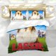 thumbnail image 5 of Lassie Conjunto de sábanas temático, trío de piezas, cómodo y amigable con la piel, diseño único, regalo de decoración para el hogar para familiares, amigos y fans,173cm *218cm, 5 of 6