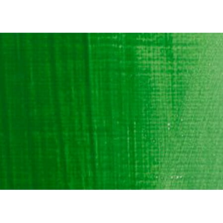 Bottle Permanent Green - RAS Tempera Paint for Kids 32 oz Bottle - Permanent Green Light