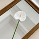 thumbnail image 4 of Flor de imitación de anturio,grulla de fuego,palmera artificial,arreglo floral para el salón de bodas,vegetación para el hogar,flores artificiales decorativas, 4 of 6
