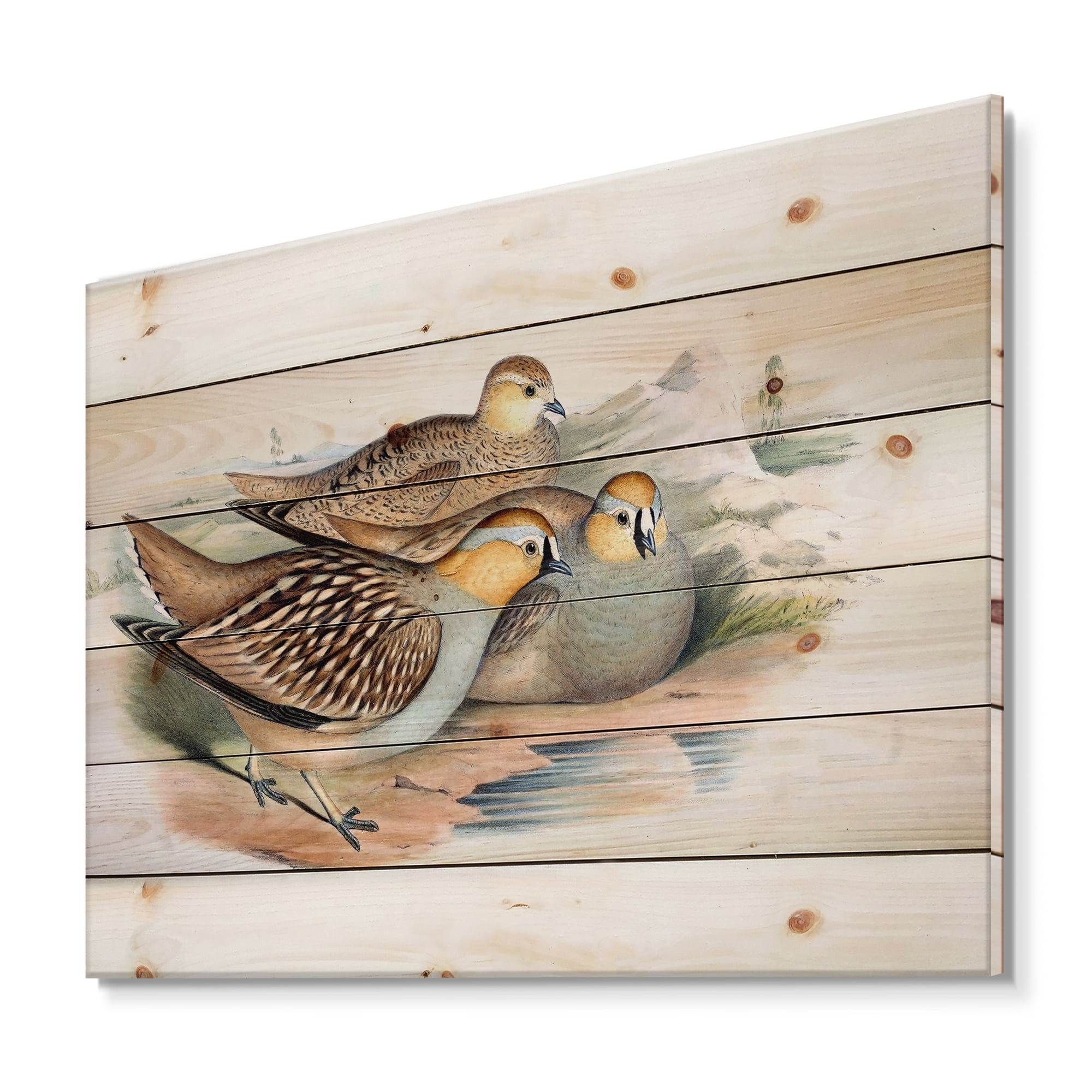 Designart 'Ancient Birds In The Wild III' Traditional Print on Natural Pine Wood