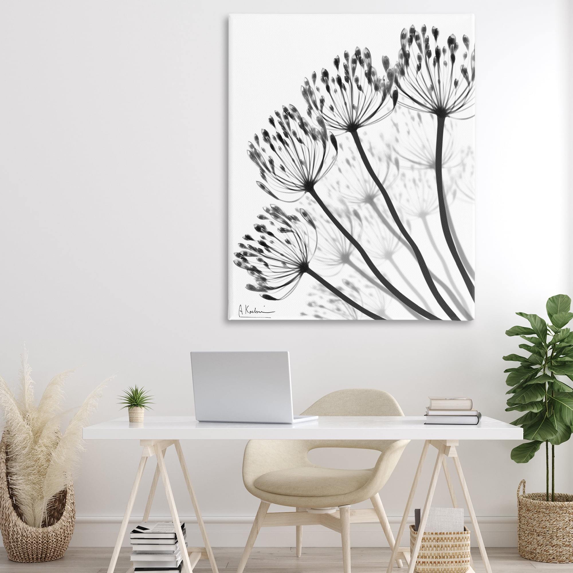 Stupell Industries Floral Fan Dandelions Canvas Wall Art, design by Albert Koetsier