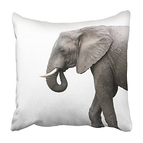 Multicolor elephant Elegant Animal Wild Africa Throw Pillow 16x16