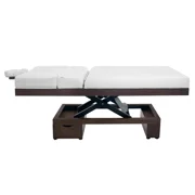 SKINACT Como Electric Spa Treatment Table (Massage, Facial Bed)