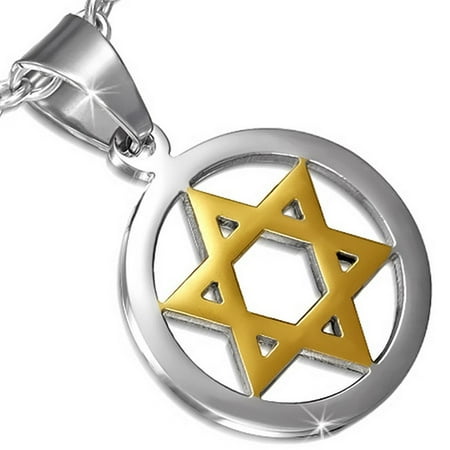 - Stainless Steel Silver Gold-Tone Jewish Star David Charm Pendant Necklace, 22