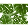 thumbnail image 2 of Kimberly, Allen 32x25 Gold Ornate Wood Framed with Double Matting Museum Art Print Titled - Tropic Green 4, 2 of 4