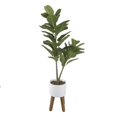 thumbnail image 1 of Flora Bunda CS5203E-MTWH 46 Fiddle-leaf in 8 Roman Cement Pot on Wood Stand, 1 of 1