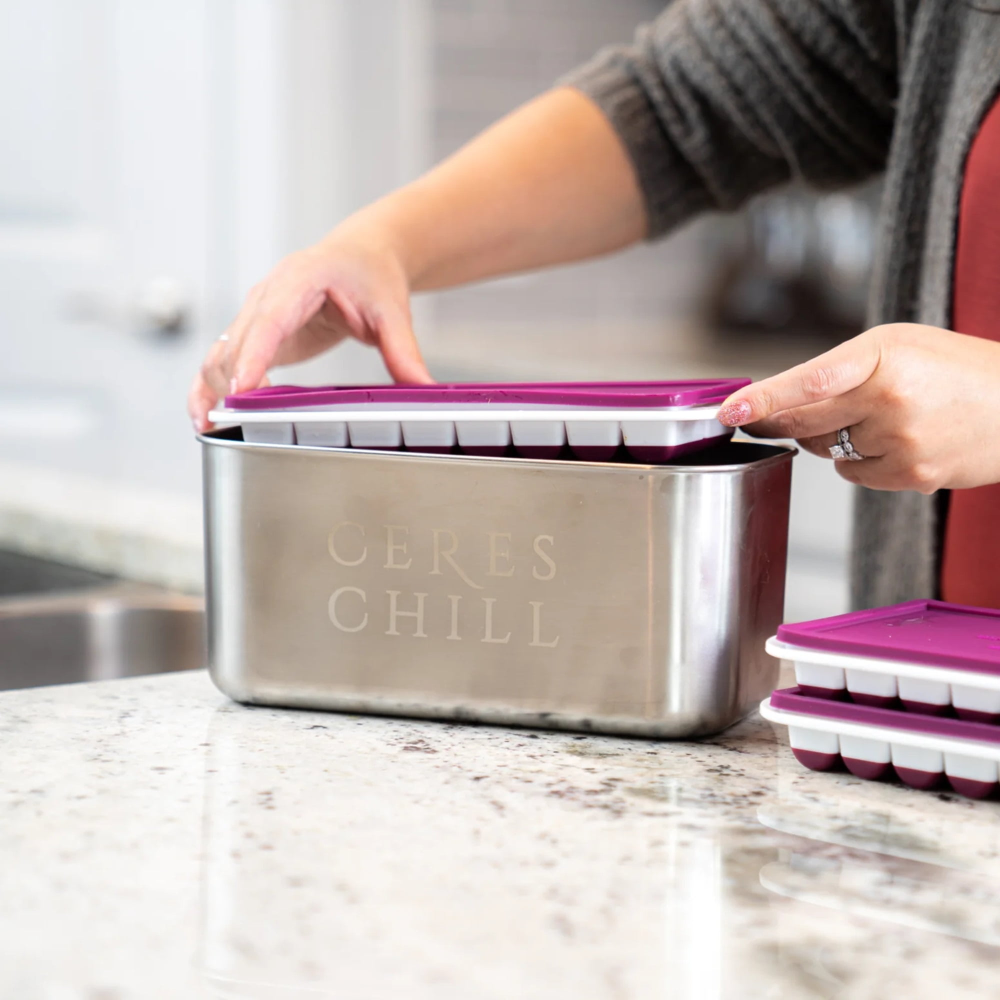 Ceres Chill Milkstache Luxe Breast Milk Freezing Container Stainless Steel / Silicone / Plastic Silver / Purple / White 64 1/2 oz. Cubes 1 ct
