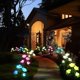thumbnail image 5 of Luces Solares Decorativas para Exteriores JanHm Paquete de 4 con 16 Luces de Flores Rosas Impermeables, 5 of 5