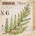 thumbnail image 2 of Staehling, Angela 20x20 White Modern Wood Framed Museum Art Print Titled - Fern Leaf-Sketchbook, 2 of 4
