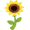 thumbnail image 2 of Burton & Burton 60" Fresh Pick Sunflower Balloon, 2 of 2