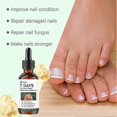 thumbnail image 3 of 7-day Tea Tree Ginger Nail Fungus Treatment Nail Renewal Liquid Strengthening For Damaged Toenails, 3 of 5