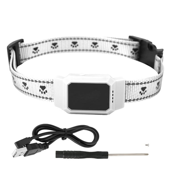 Dog finder collar 2025