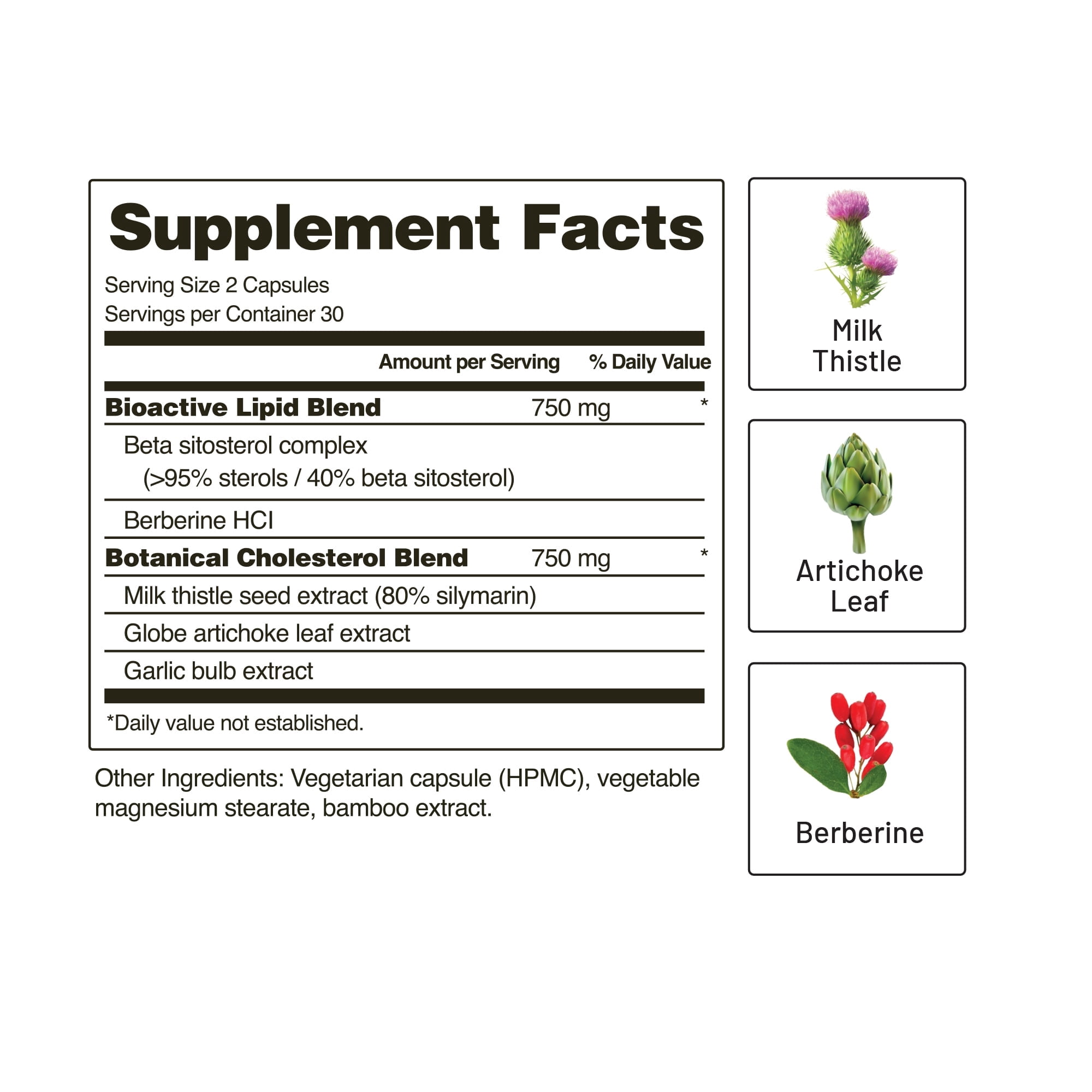 Snap Supplements Cholesterol Health with Beta-Sitosterol and Garlic, 60 Capsules - 2 Pack