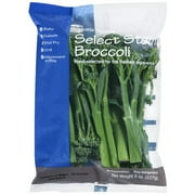 Versatile Veggies Select Stem Broccoli, 8 oz