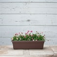 thumbnail image 2 of Root & Vessel Countryside Flower Box, Brown, 24", 2 of 7