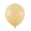 KAINSY Nude Latex Balloon 10inch 31pcs Blush Apricot Balloons Cream