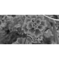 thumbnail image 2 of Phillip, Jamie 14x9 Black Modern Framed Museum Art Print Titled - Flow 2, 2 of 4