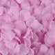 thumbnail image 1 of Nvzi 1000 piezas de pétalos de rosa, pétalos de flores artificiales para decoración de bodas y fiestas, color lavanda, 1 of 4
