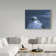 thumbnail image 3 of Trademark Fine Art 'Gyrfalcon Portrait' Canvas Art by Ron Parker, 3 of 3