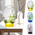 thumbnail image 4 of Mini Small Desktop Aquarium Glass Fish Tank Eco Aquarium Amibious, 4 of 8