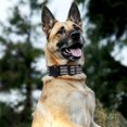 thumbnail image 3 of Dog Collar for Small Medium Dogs,  Adjustable Reflective Wide Heavy Duty Pet Collars with Safety Locking Buckle for Walking, 3 of 9