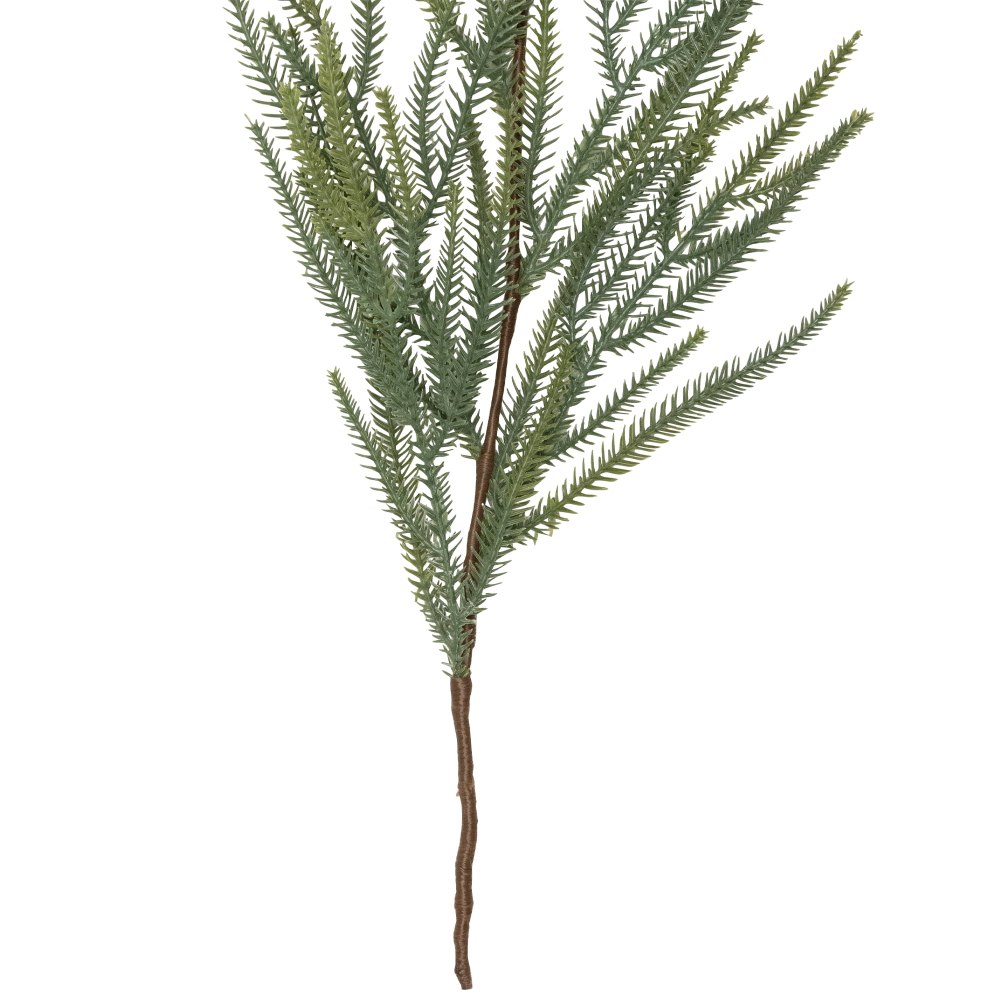 Northlight Norfolk Pine Artificial Christmas Garland - 7' - Unlit