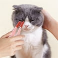 thumbnail image 6 of Pet Tear Stain Remover Brush, Soft Flexible Reusable Dog Cat Eye Grooming Tool, Gentle Tear Stain Brush for Daily Cleaning Around Eyes, Pink, 6 of 9