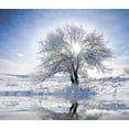 thumbnail image 2 of Christmas Theme- Frozen Trees Wall Mural by Wallmonkeys Peel and Stick Graphic (18 in W x 16 in H) WM347021, 2 of 4
