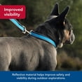 thumbnail image 3 of Collar para perro Coastal Pet Pro, ajustable y reflectante, azul brillante con gris, 1 x 14 a 20 pulgadas, 3 of 7