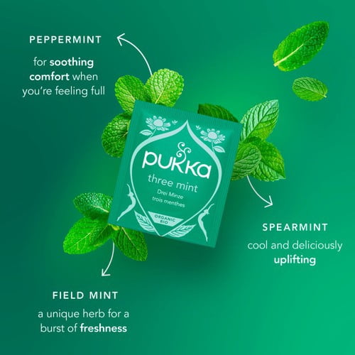 Pukka Organic Digest Collection Herbal Tea with Mint & Ginger 8's, British Import (Pack of 3)