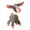 Grey, variant on LiMimmuu Sound Toy Abrasion Resistant Dog Toy Built-in Sound Squeaky Donkey Toy Squeaky Toy Built-in Sound Bite Resistant Donkey Shape -Cleaning Interactive Dog Toy Pet Supplies
