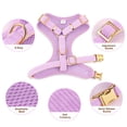 thumbnail image 5 of Beirui 3pcs Soft Mesh Dog Harness Cute Bowtie Collar and Leash for Small Pet Adjustable, 5 of 12