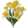 Daffodil, 1 Each