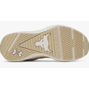 Under Armour Women's Project Rock Blood Sweat Respect 5, (279) Stone/Field Khaki/Field Khaki, 10.5, US