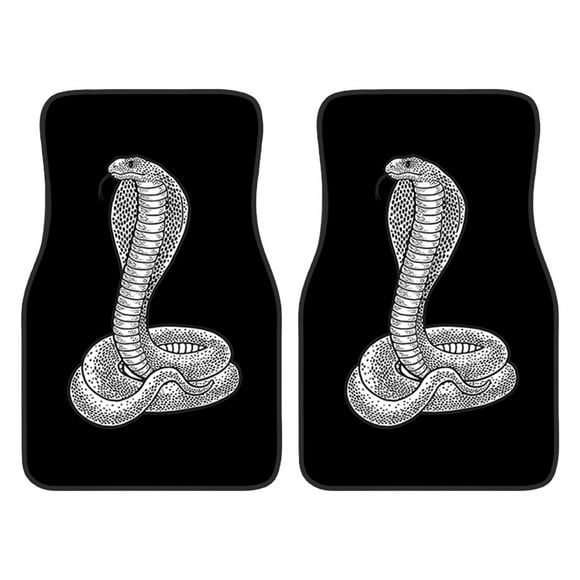 Floor Mats for Cars, Car Foot Mats Carpet 2 Pcs Set of Stain Resistants Floor Mats Car Universal Carpet Car Foot Mats Cars Applicable A Set of 2 Pcs