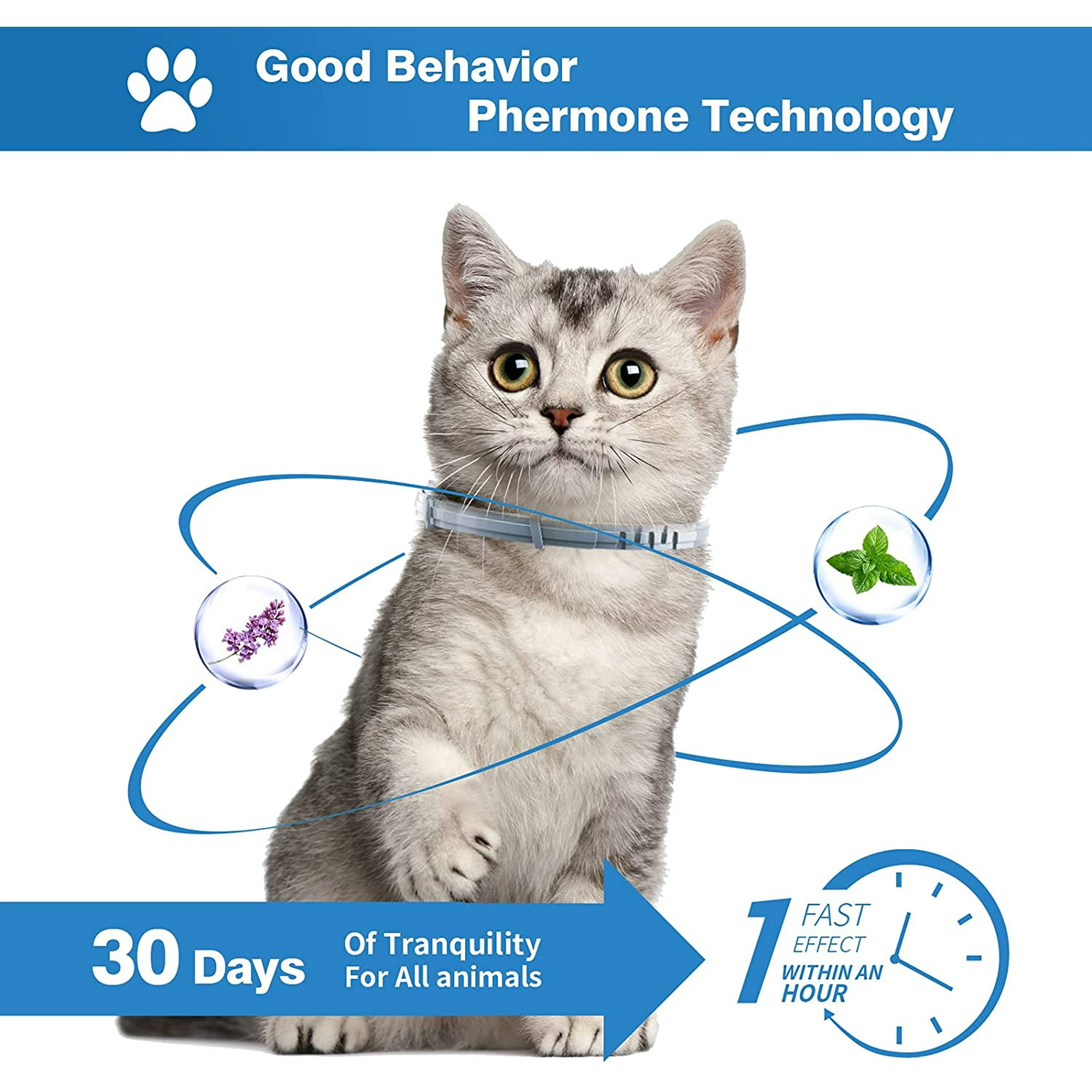 Photo inspiration: Visual Reference: Fanshowcalming Collar For Cats Pheromones Cat Soothing Collar Anti